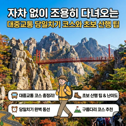 자차 없이 조용히 다녀오는 월출산 혼자 여행｜대중교통 당일치기 코스와 초보 산행 팁