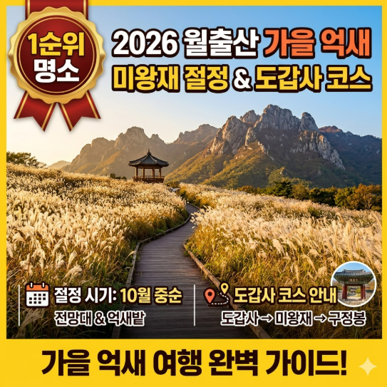 2026 월출산 가을 억새 명소 1순위, 미왕재 억새 절정 시기와 도갑사 코스 안내 썸네일