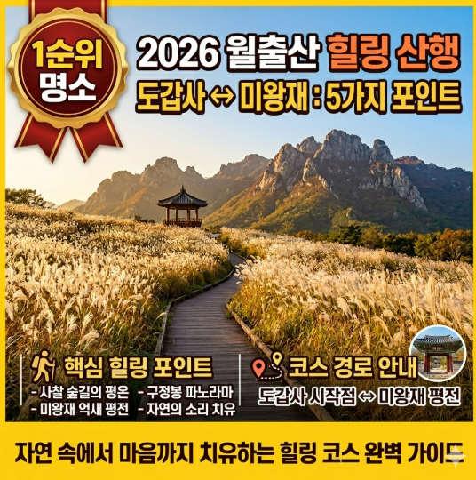 2026 도갑사에서 시작하는 월출산 힐링 산행 코스 5가지 포인트: 미왕재까지 걷는 사찰 숲길